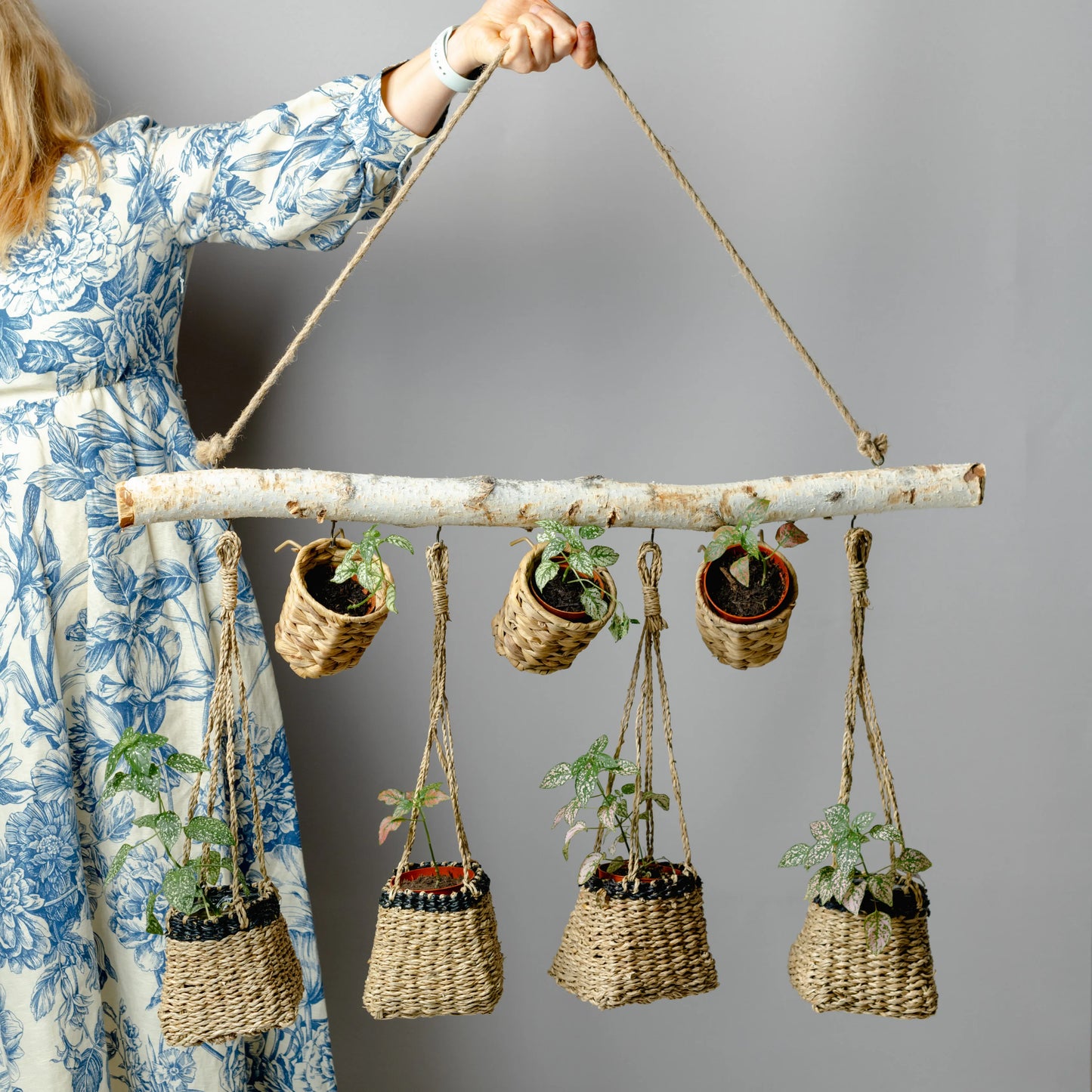 Tronco Bétula Para Plantas