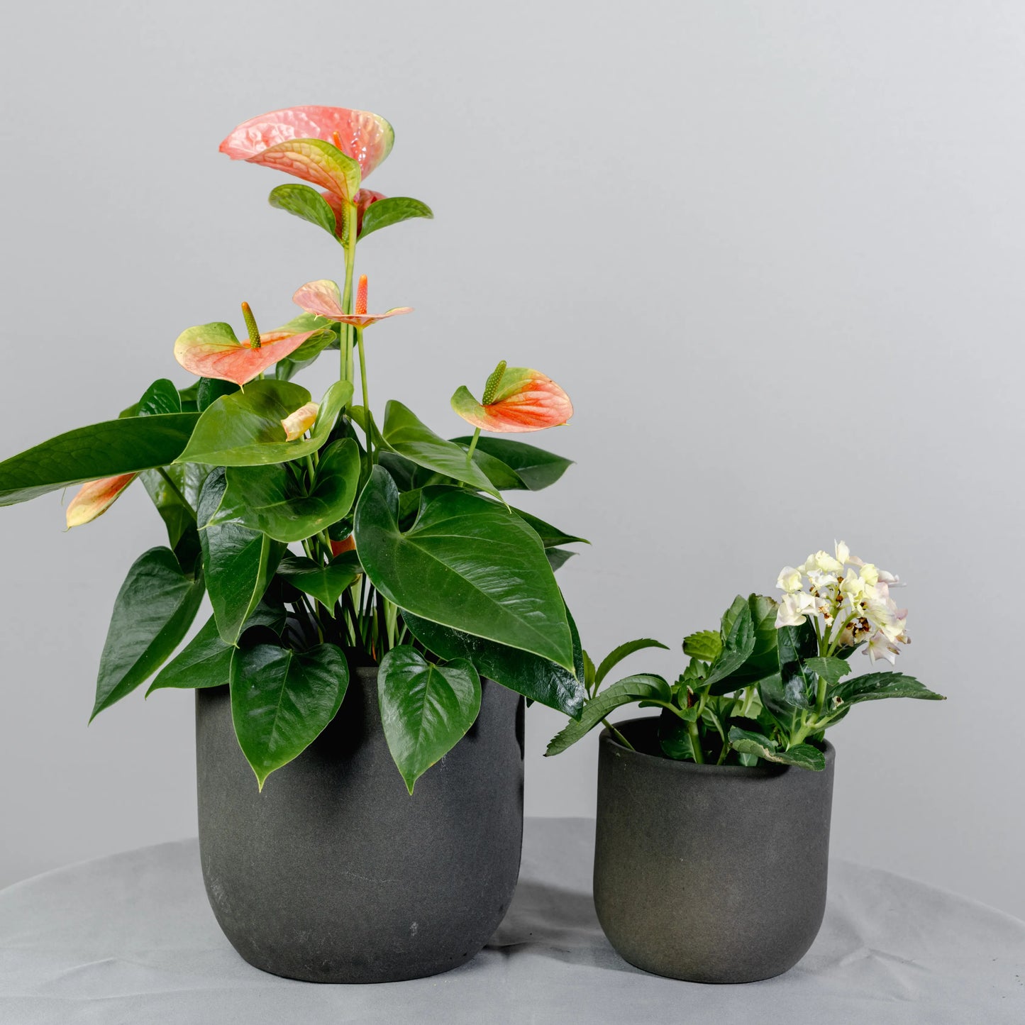 Vaso Cimento Antracite