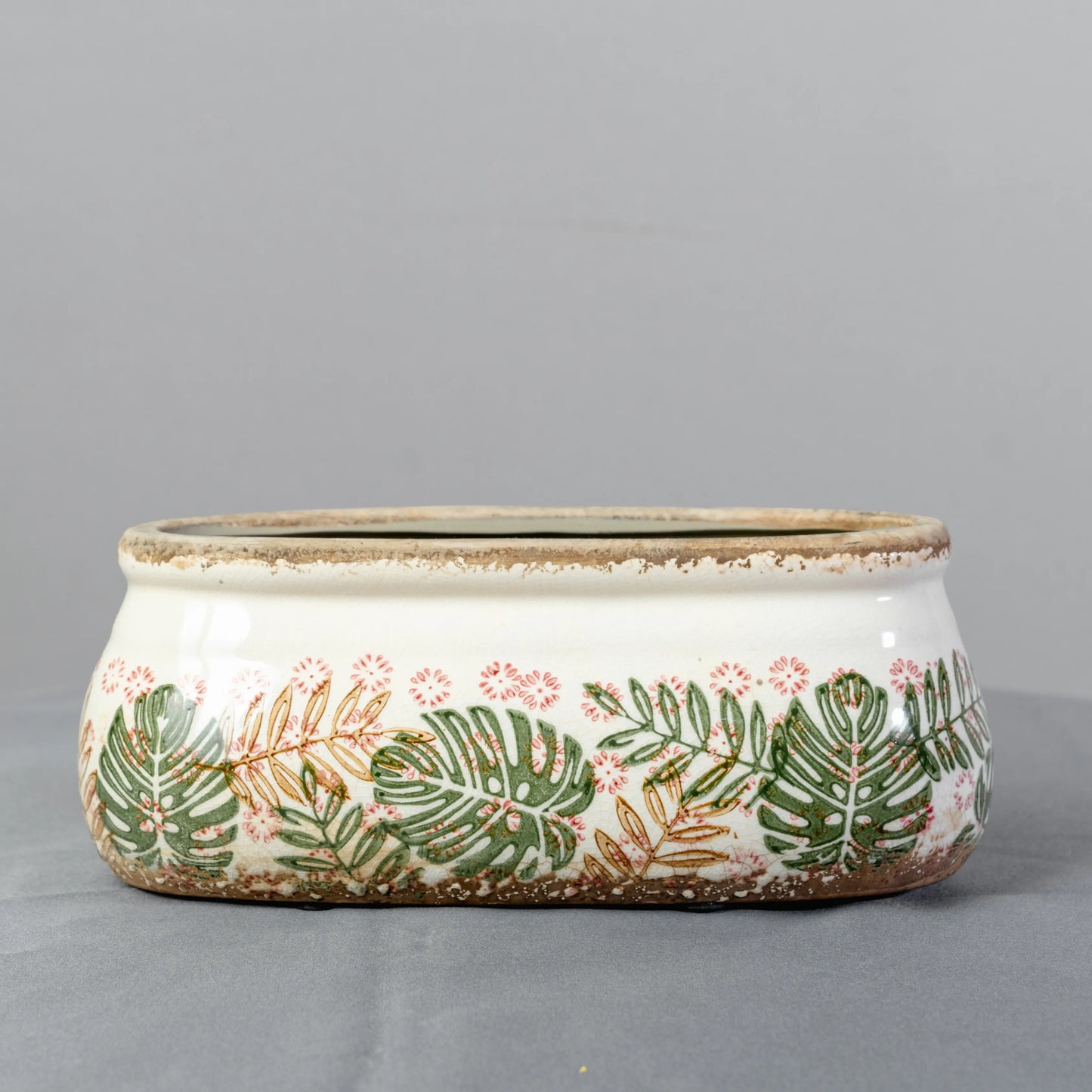 Vaso Monstera e Feto