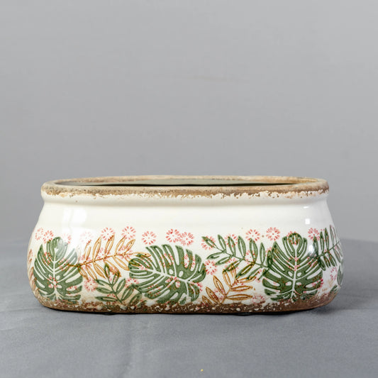 Vaso Monstera e Feto