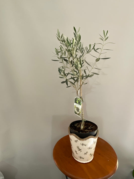 Vaso de Cerâmica Estilo Vintage Mediterrânico – Branco Envelhecido com Azeitonas