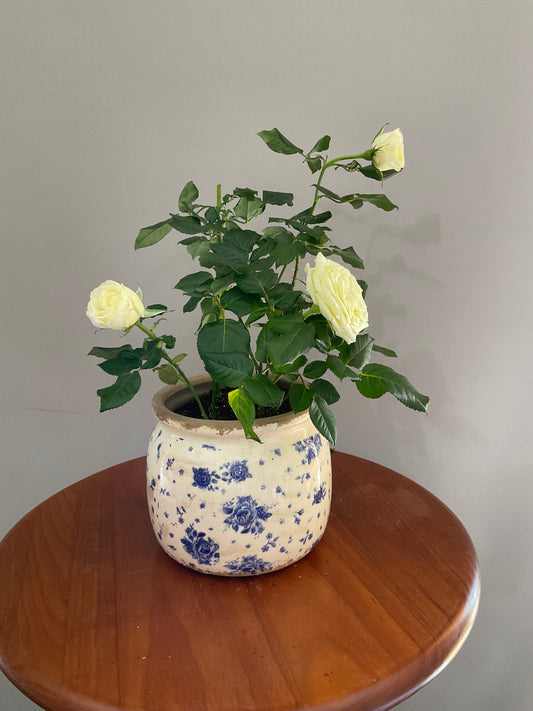 Vaso de Cerâmica Estilo Vintage – Branco Envelhecido com Flores Azul-Escuro