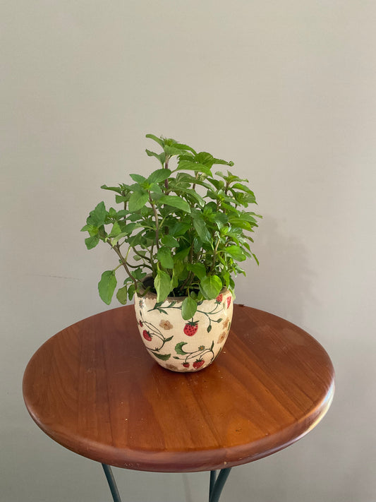 Vaso de Cerâmica Estilo Vintage – Branco Envelhecido com Morangos Selvagens