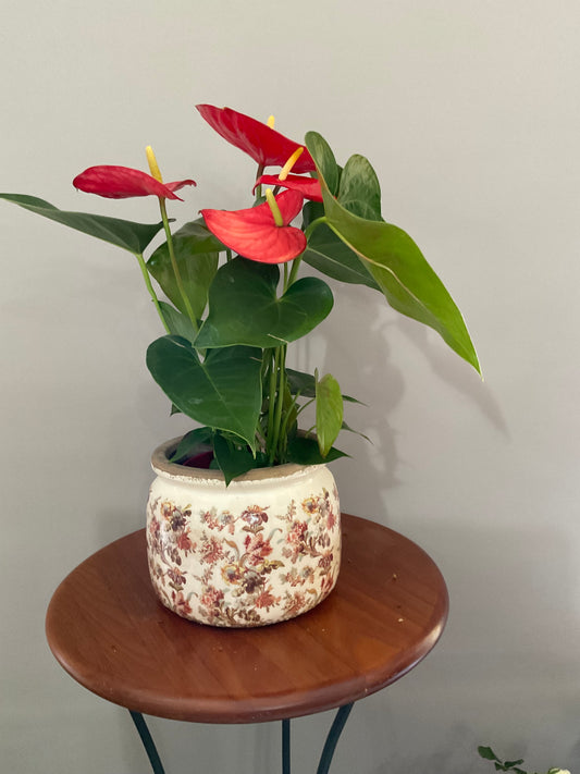 Vaso de Cerâmica Estilo Vintage – Efeito Envelhecido com Flores Bordô