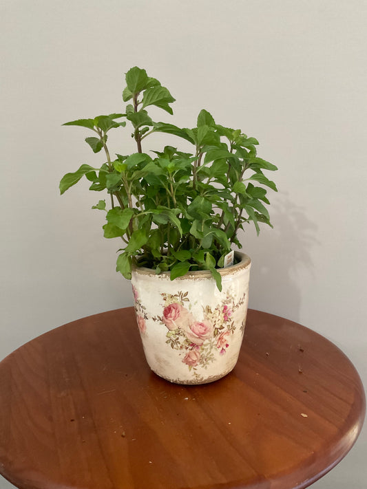 Vaso de Cerâmica Estilo Vintage – Efeito Envelhecido com Rosas de Jardim