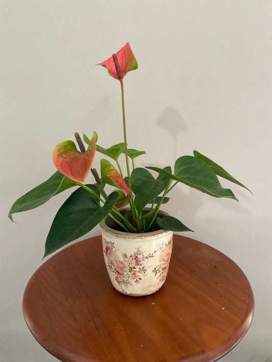 Vaso de Cerâmica Estilo Vintage – Rosa Selvagem em Branco Envelhecido