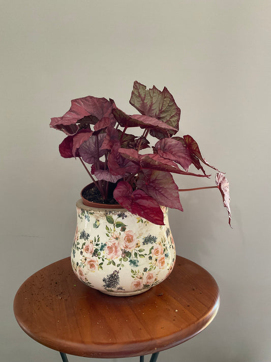 Vaso de Cerâmica Tipo Pot – Estilo Jardim Vintage com Flores de Jardim