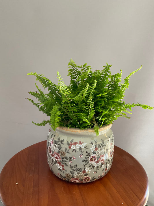 Vaso de Cerâmica Tipo Pot – Estilo Vintage Cinza-Claro com Flores Brancas e Bordô