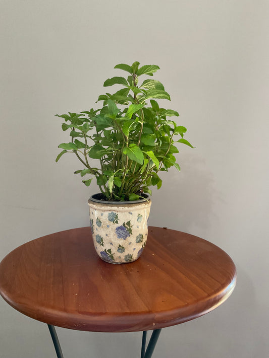 Vaso de Cerâmica Vintage com Hortênsias Azuis