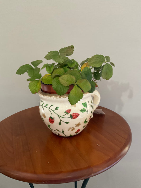 Vaso de Cerâmica com Asa