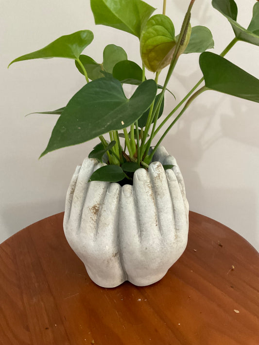 Quatro Mãos que Acolhem