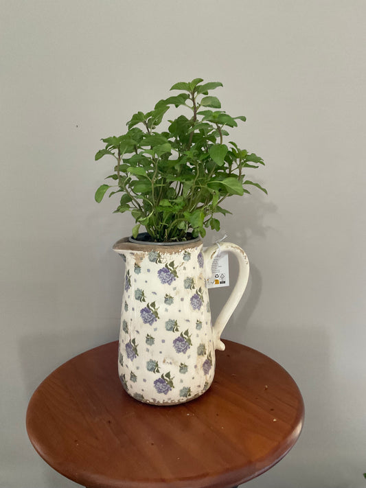 Vaso de Cerâmica em Forma de Caneca