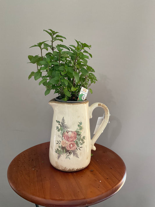 Vaso de Cerâmica em Forma de Caneca – Estilo Vintage com Proteas Cor-de-Rosa