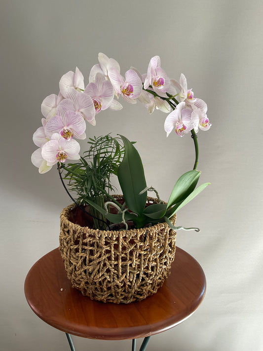 Vaso de Corda Natural (Forma normal)