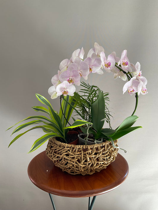 Vaso de Corda Natural – Estilo Orgânico e Versátil