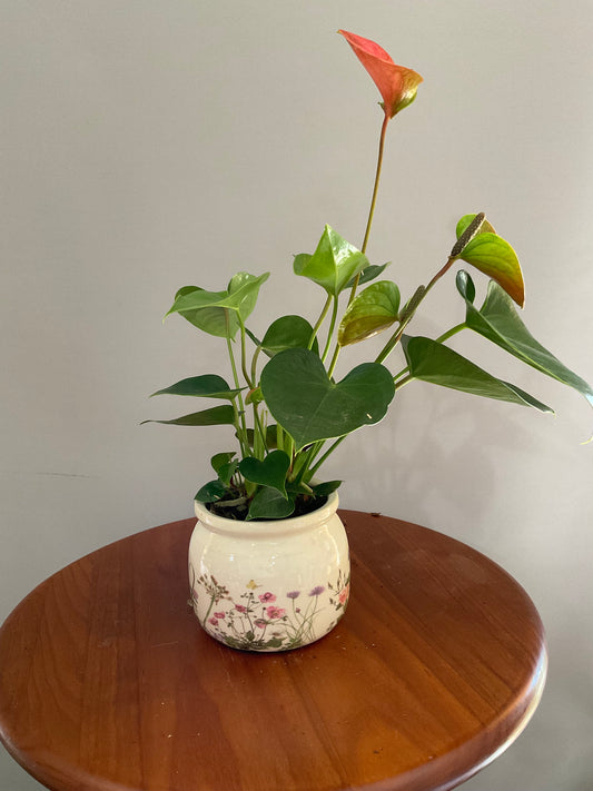 Vaso-pot de Cerâmica Estilo Vintage – Branco Sujo com Flores Silvestres