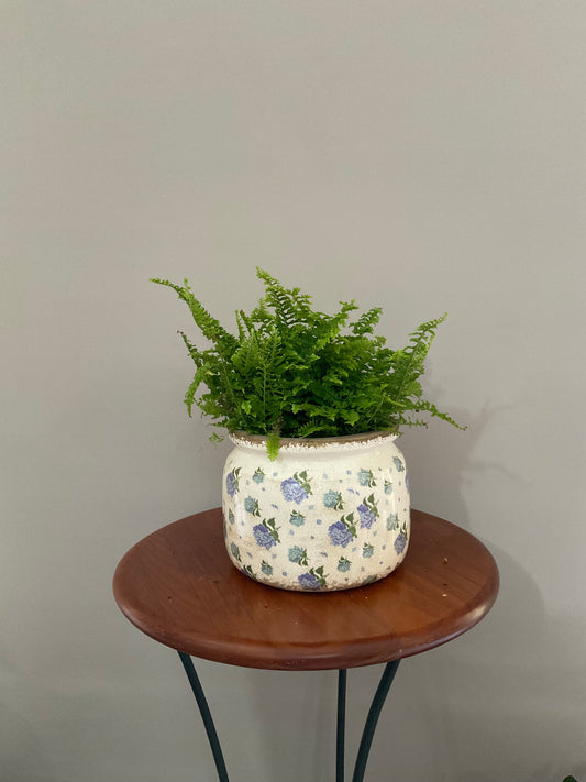 Vaso de Cerâmica Tipo Pot – Estilo Vintage Branco Sujo com Hortênsias Azuis