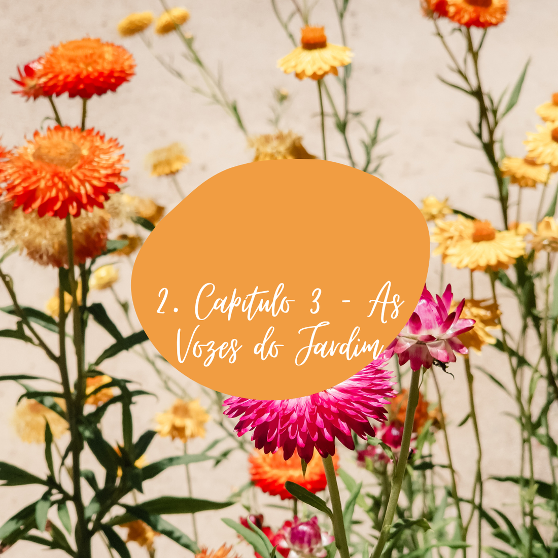 Capítulo 3 — As Vozes do Jardim