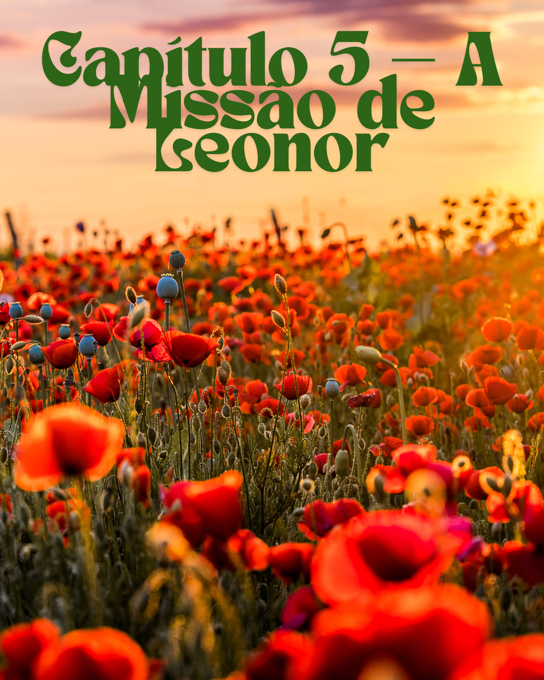 Capítulo 5 — A Missão de Leonor