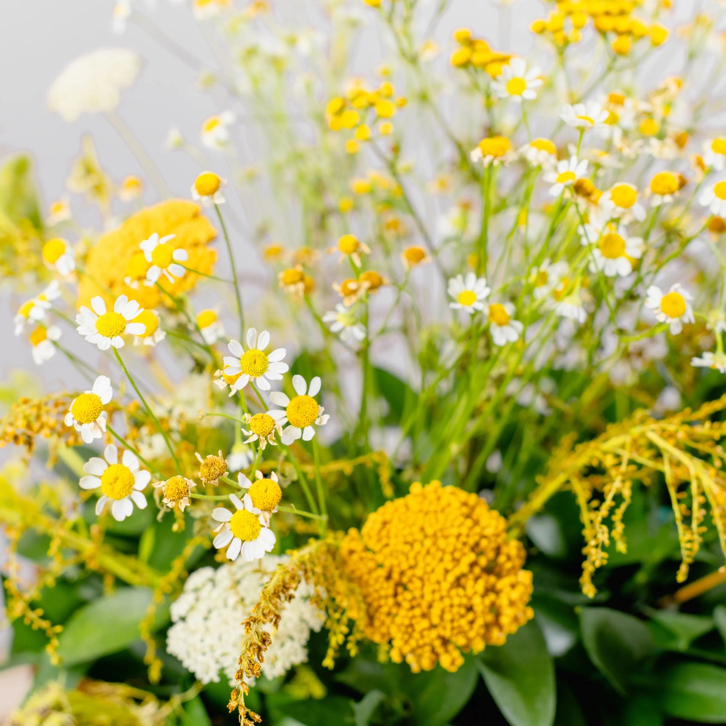 Composition florale "Clair à l'aube"