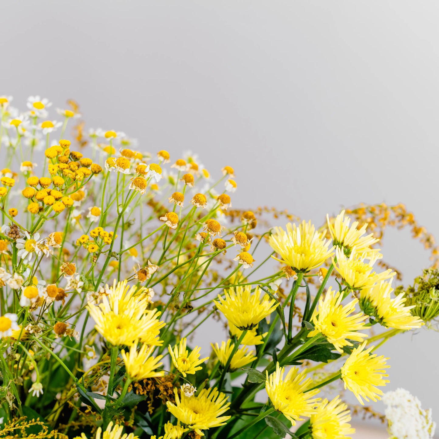 Composition florale "Clair à l'aube"