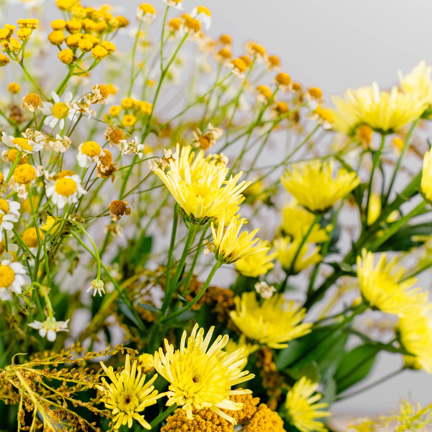 Composition florale "Clair à l'aube"