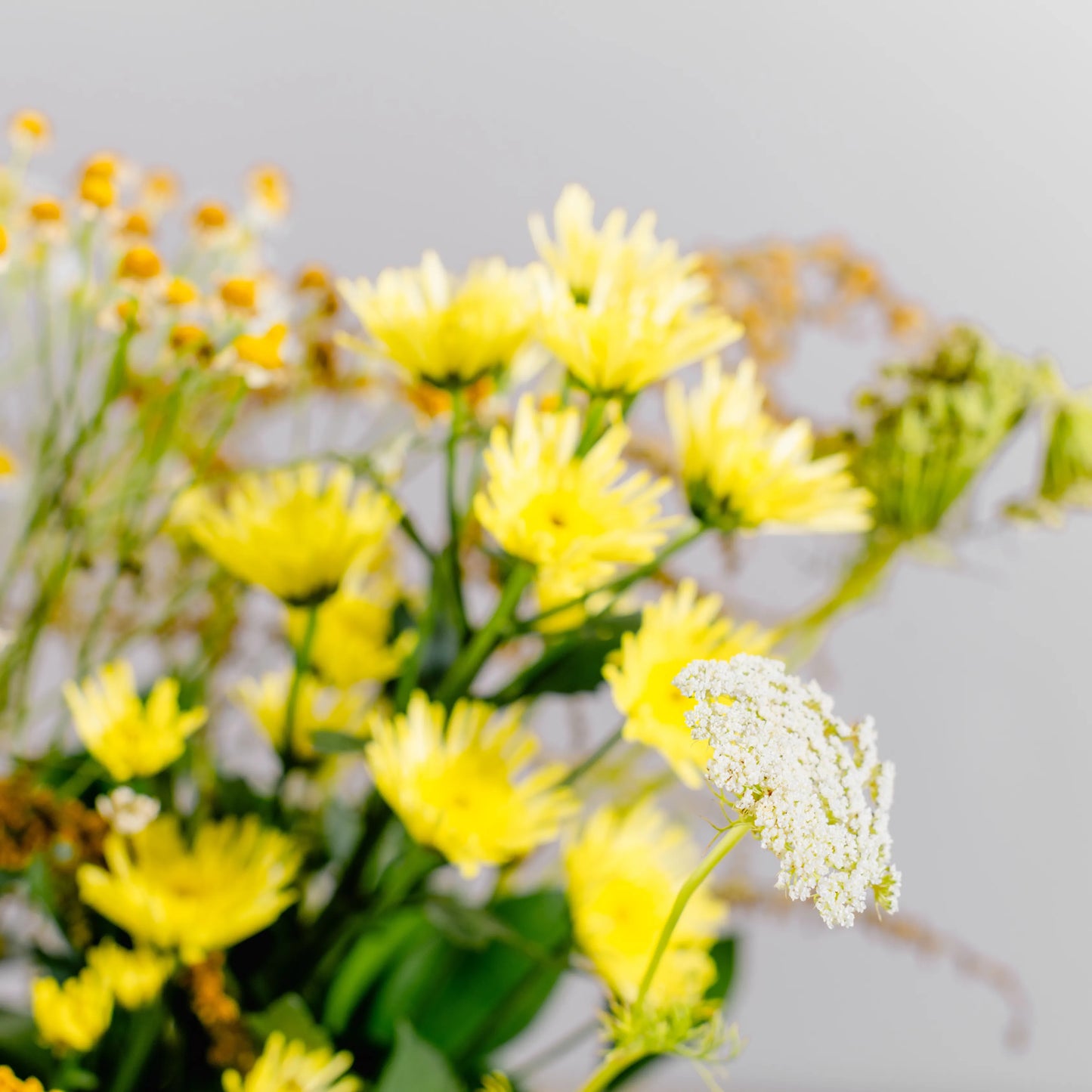 Composition florale "Clair à l'aube"
