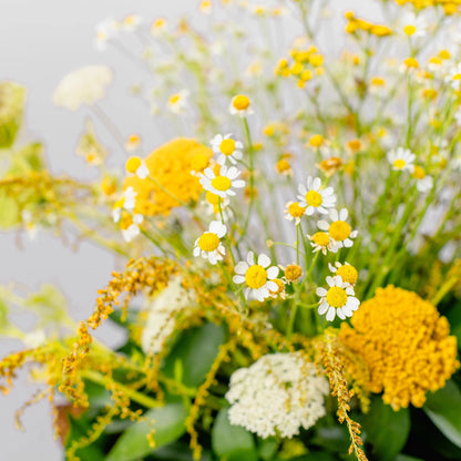 Composition florale "Clair à l'aube"
