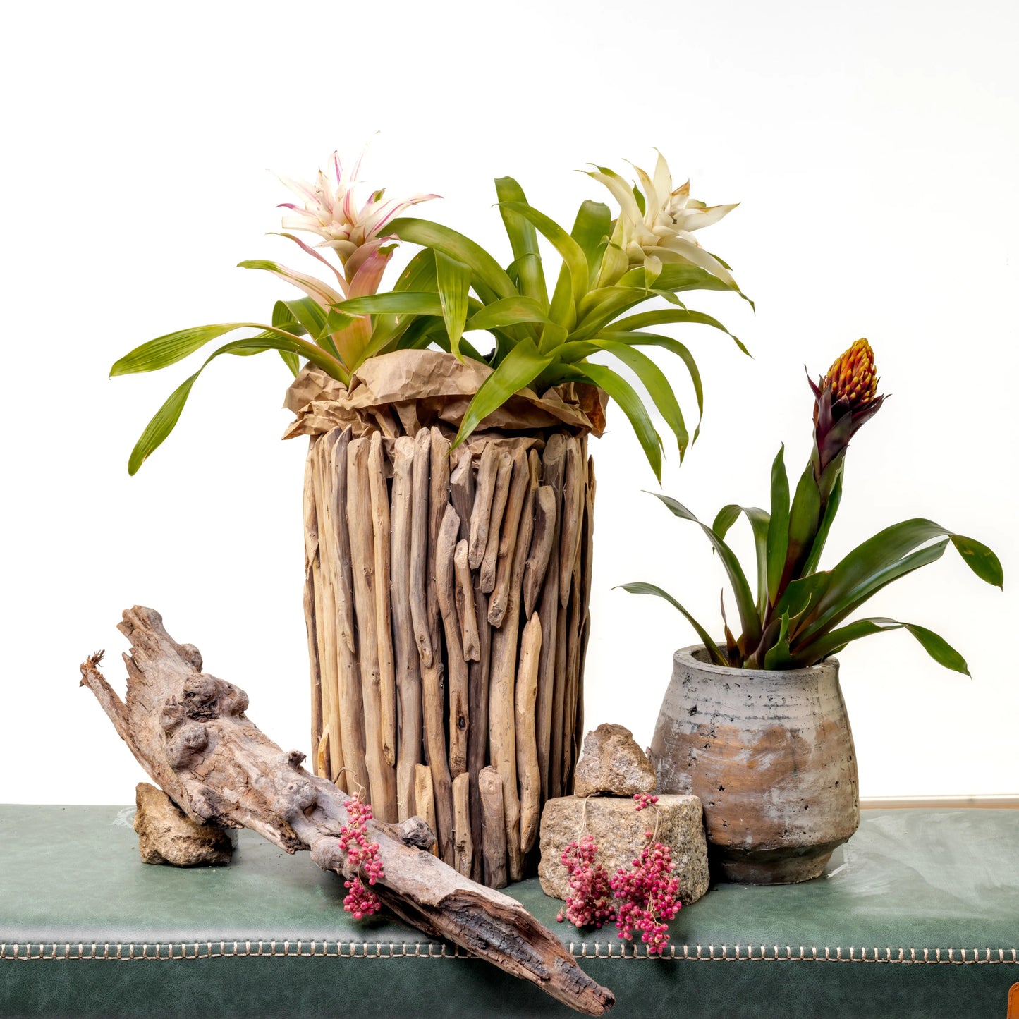 Bromelia