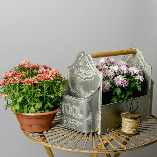 Decorative Tool Box
